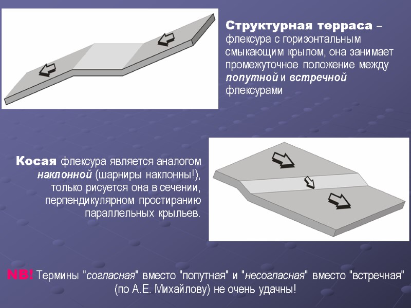 Структурная терраса – флексура с горизонтальным смыкающим крылом, она занимает промежуточное положение между попутной